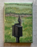 Red-Tailed Hawk