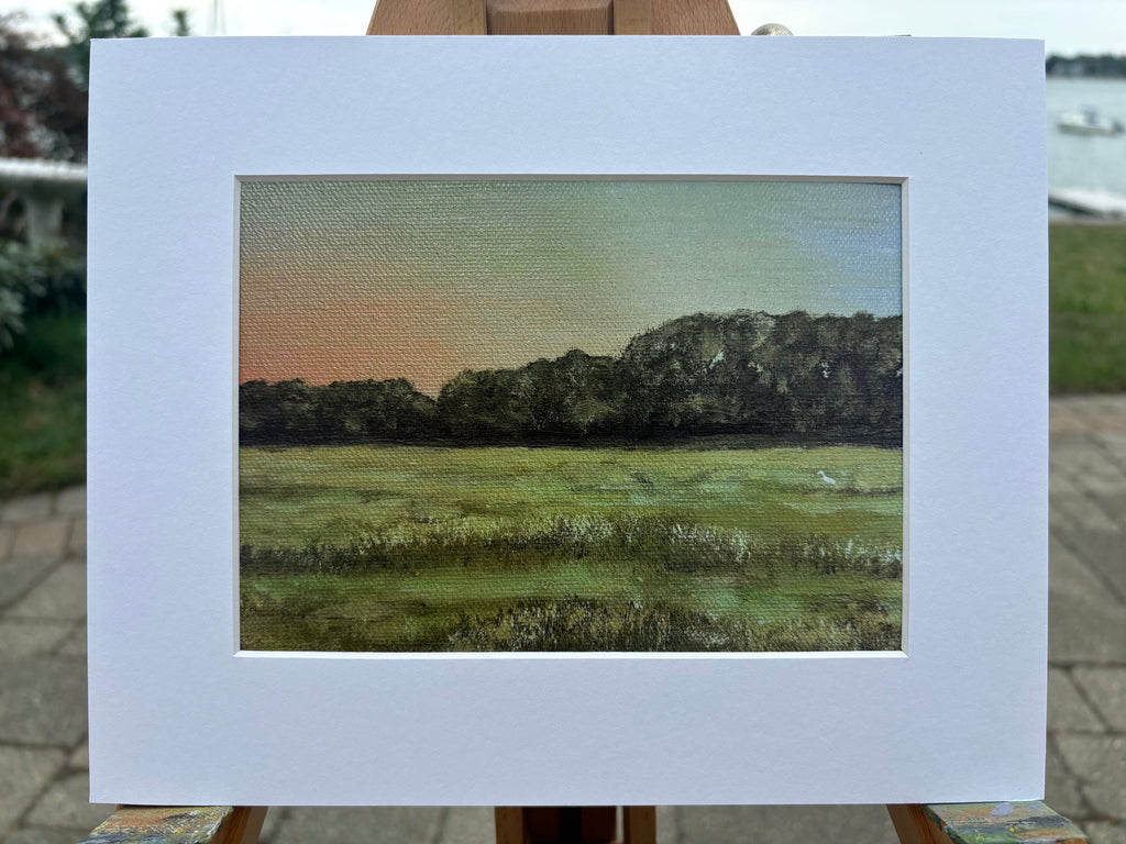 Marsh at the end of Joseph Street