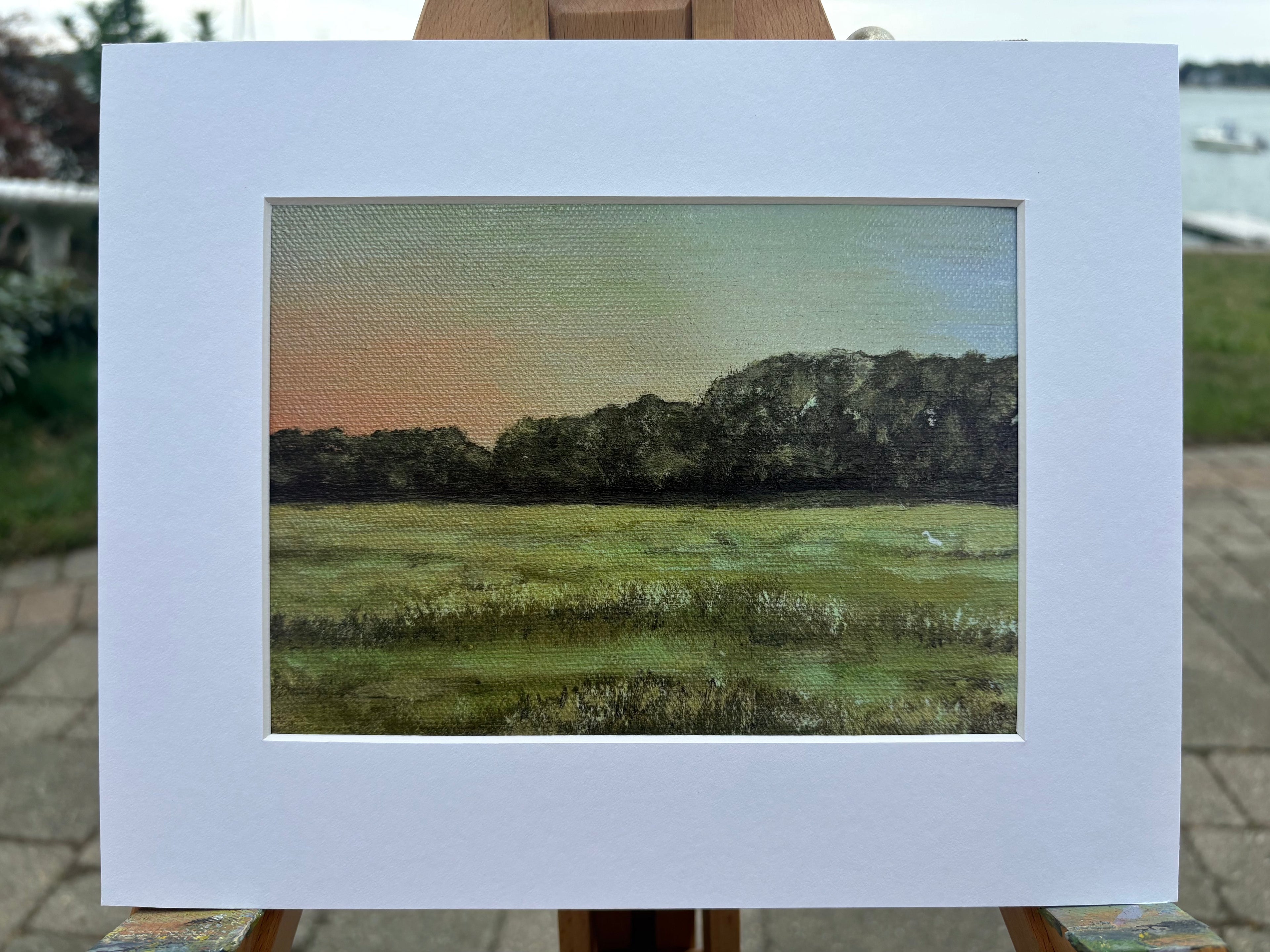 Marsh at the end of Joseph Street