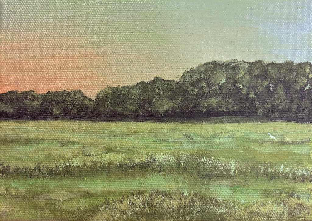 Marsh at the end of Joseph Street