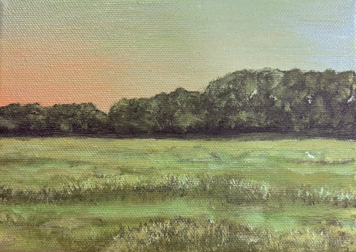 Marsh at the end of Joseph Street